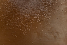 salposto2.jpg